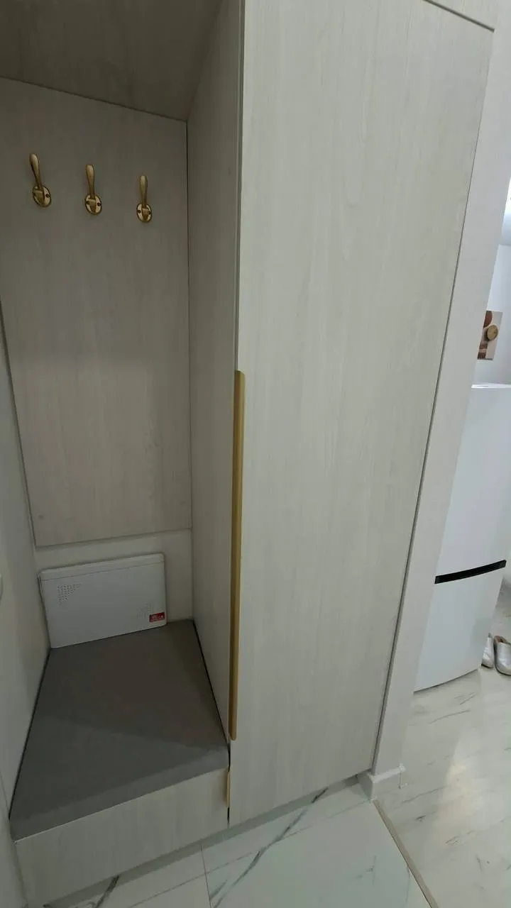 1-комн. квартира, для семьи/пары, Нура, 270 000 ₸