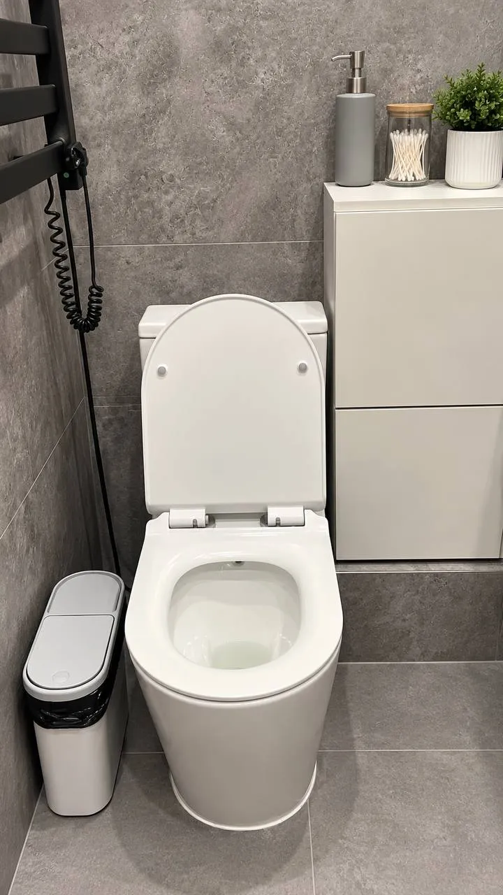2-комн. квартира, 250 000 ₸