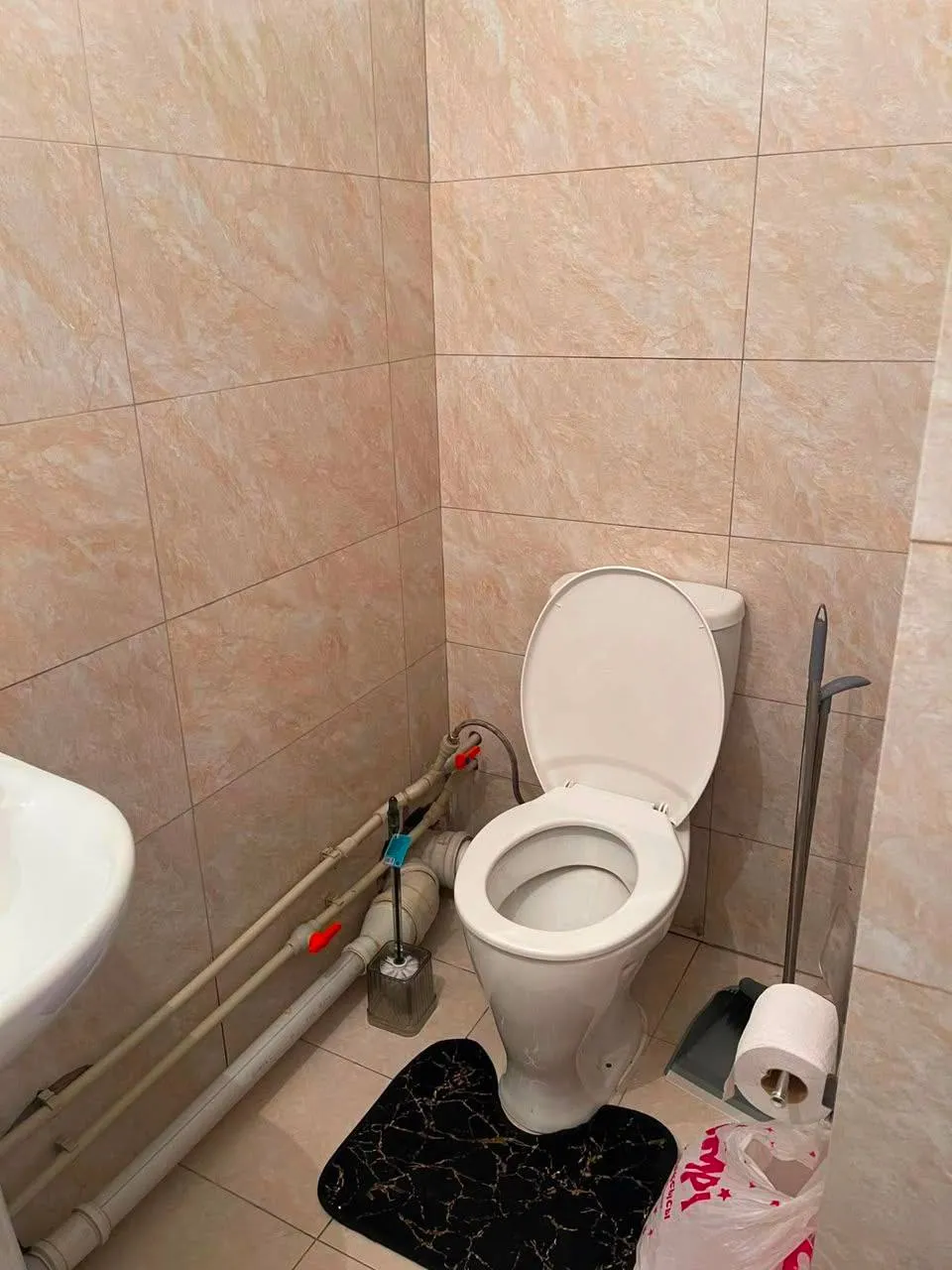 Подселение, для девушек, 58 000 ₸/чел