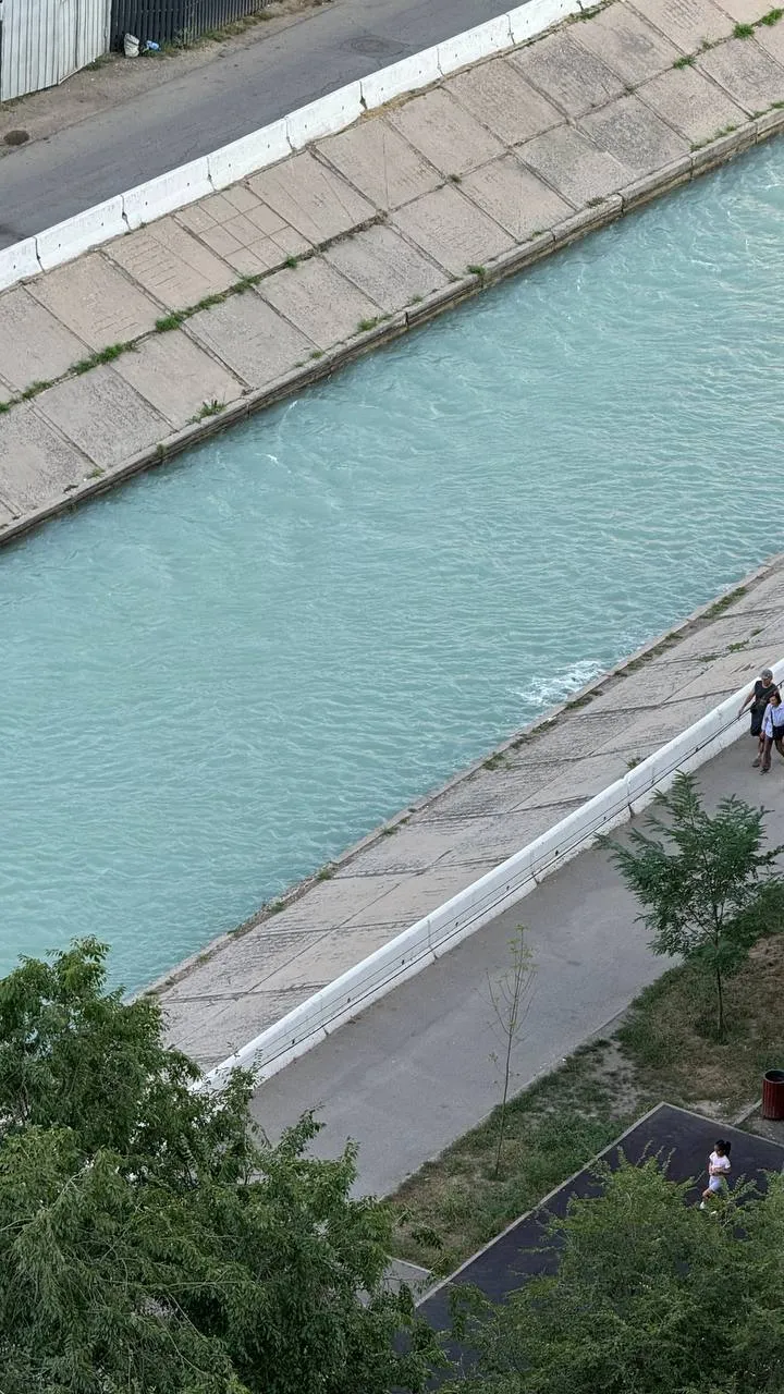 Подселение, для девушек, River City, 77 500 ₸/чел