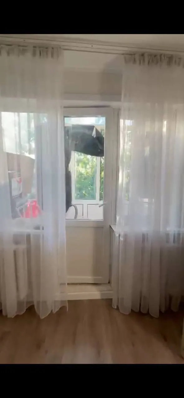 Подселение, для девушек, 75 000 ₸/чел