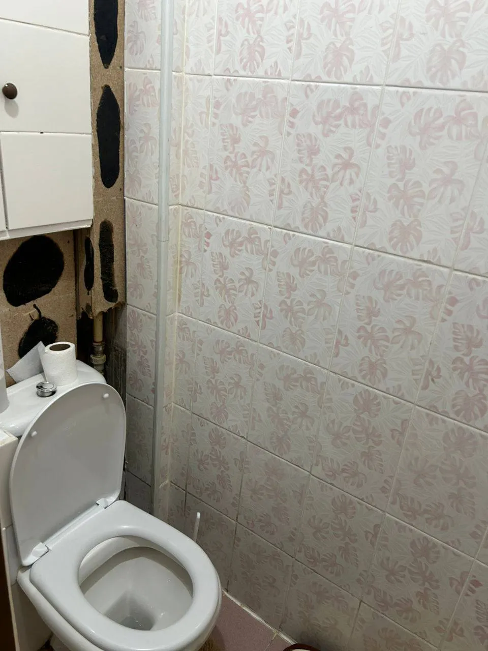 Подселение, для девушек, 67 500 ₸/чел