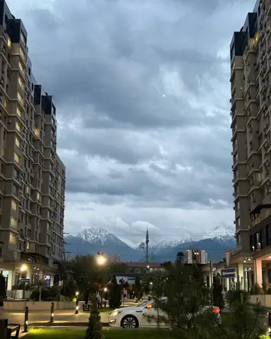 Подселение
