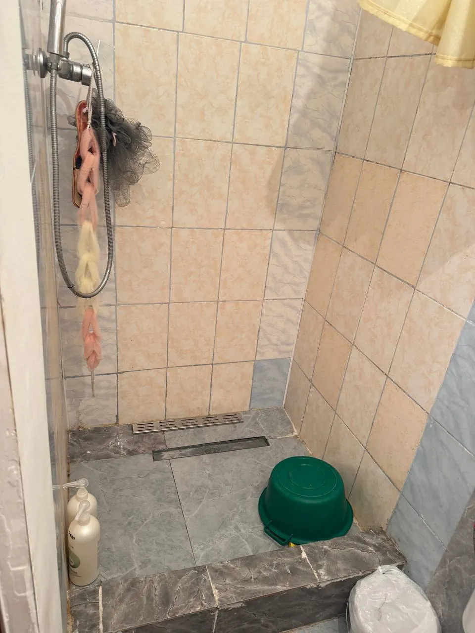 Подселение, для девушек, 50 000 ₸/чел
