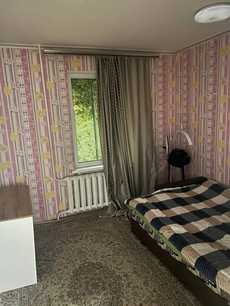 Комната, для девушек, Казахфильм, 120 000 ₸