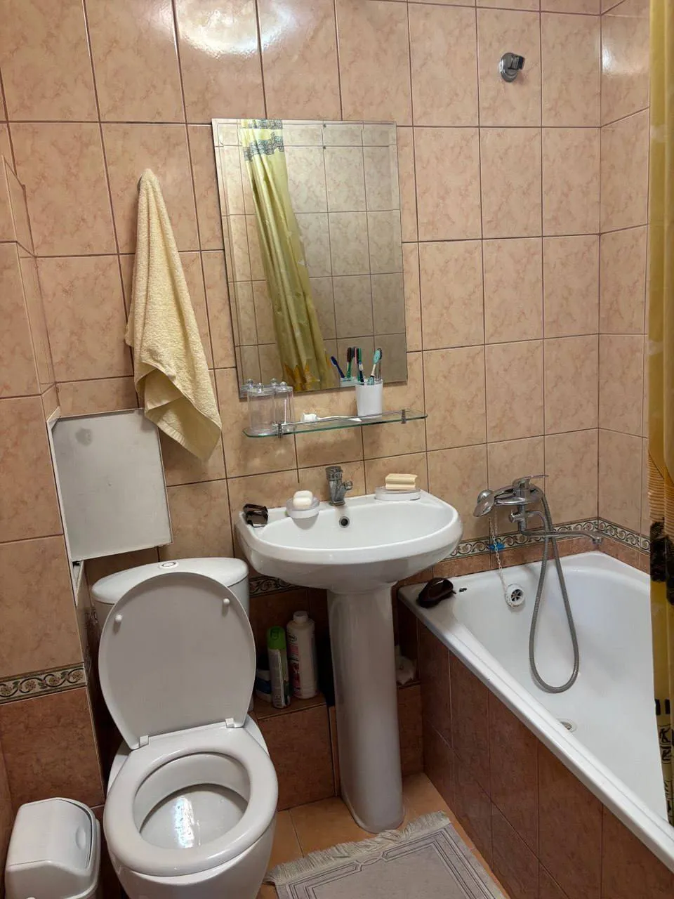 1-комн. квартира, Алмалинский, 250 000 ₸