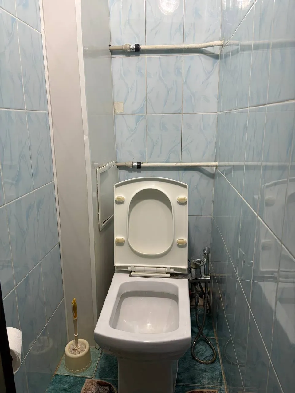 Подселение, для девушек, Сайран