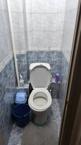 Подселение