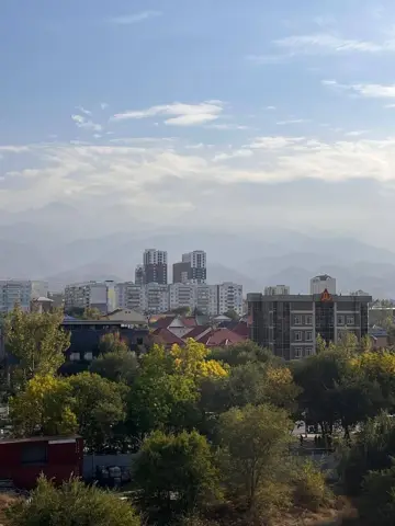 Подселение